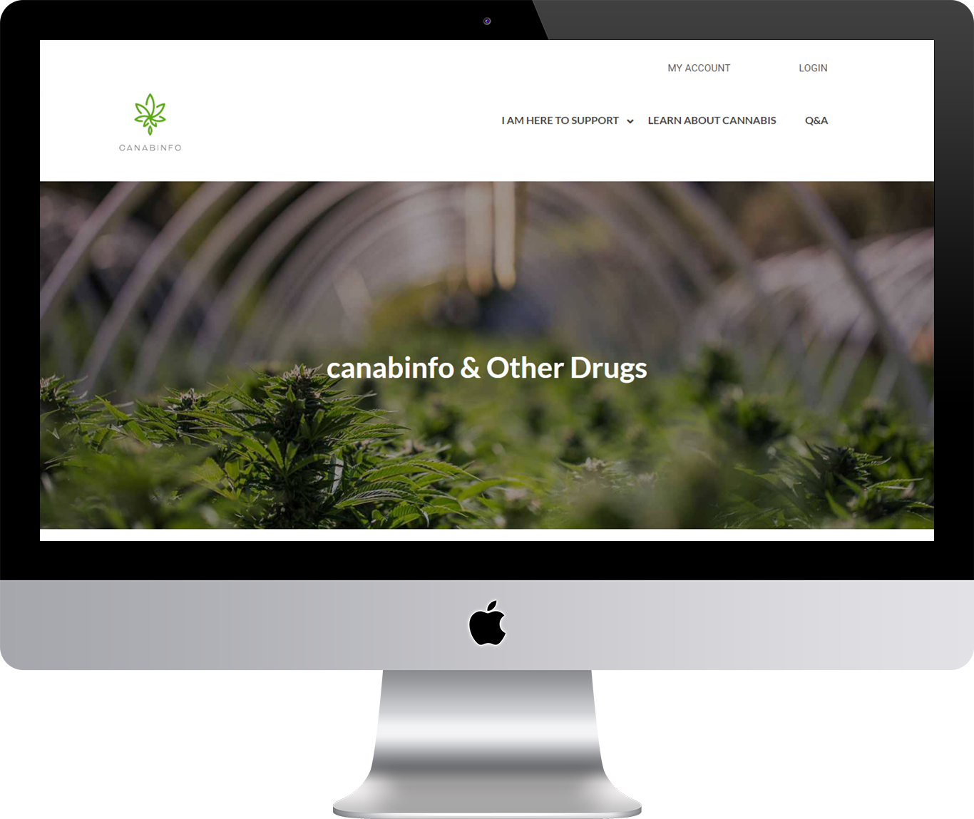 cannabis-info-pc.png